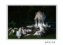 长隆飞鸟乐园创作团摄影作品欣赏(51)_在线影展的作品